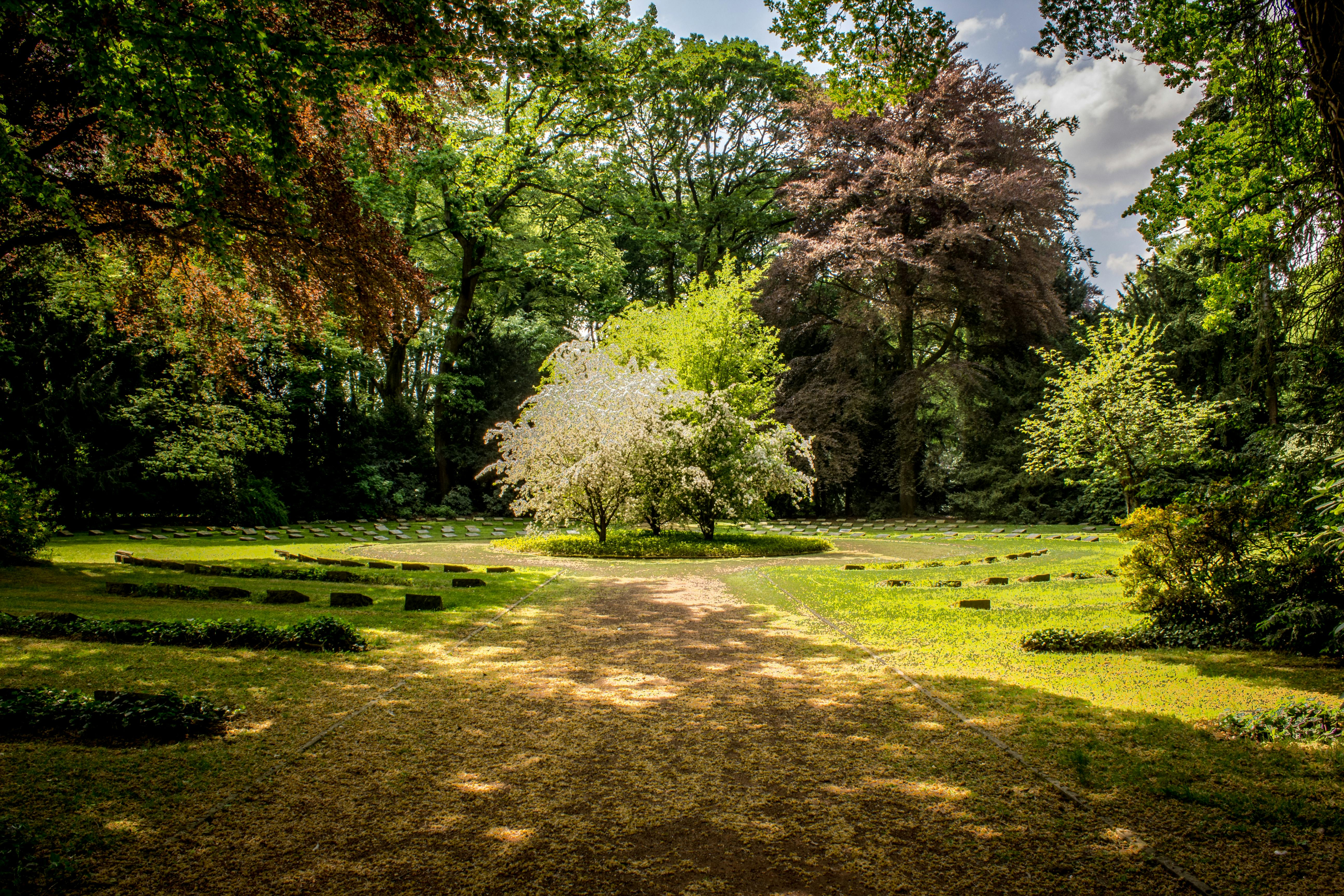 Garden Area